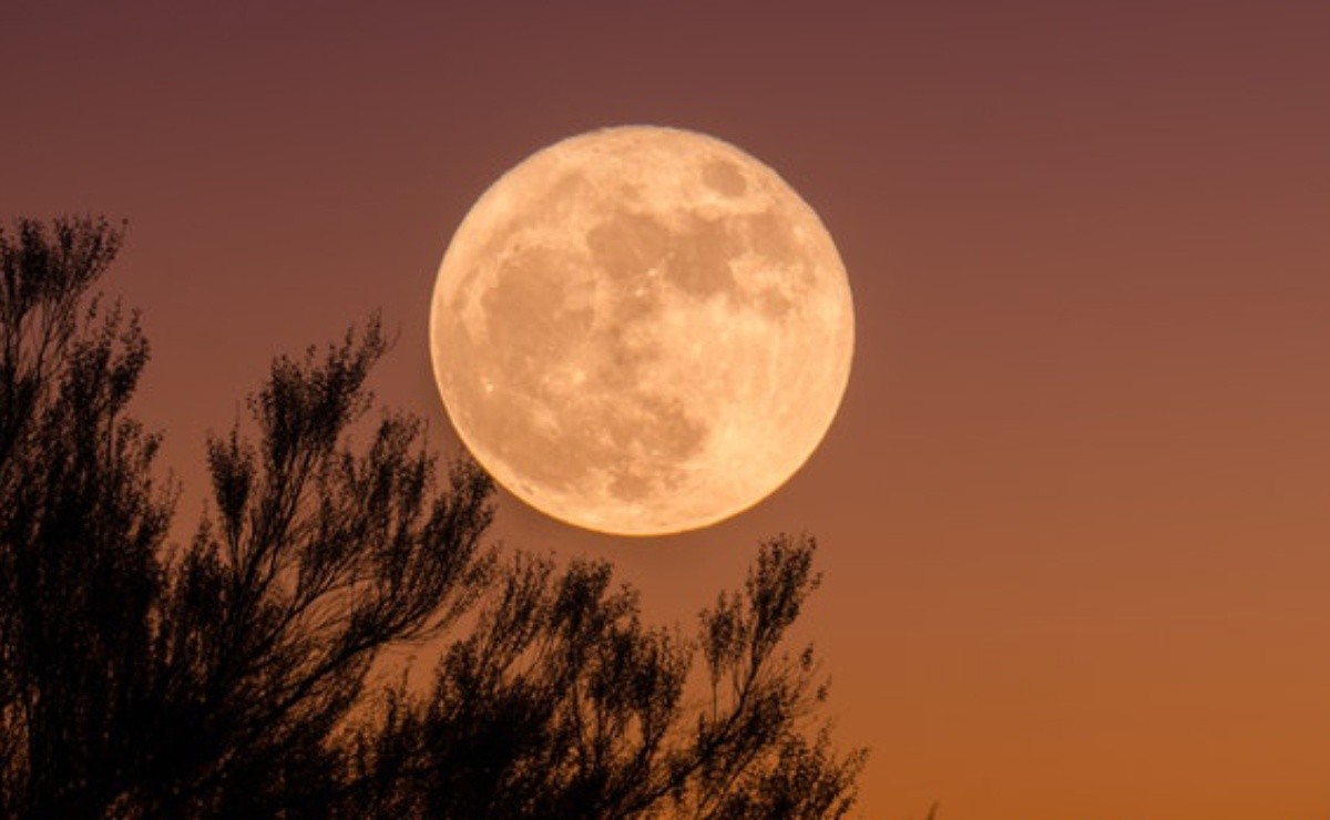 Signs That Will Be Affected By The January Full Moon