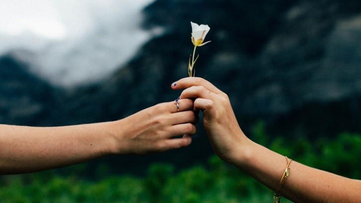 Some signs will find love according to numerology. Photo: Pexels