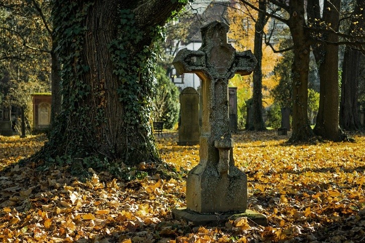 Dreaming of a cemetery means different special messages. Photo: PIxabay