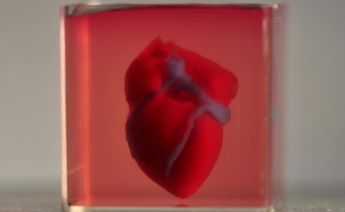 Print First 3D Heart Beats and Plan to Grow More!