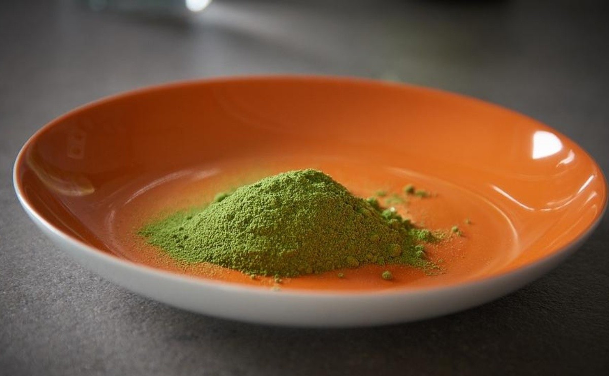 This is how you should take Moringa to lose weight