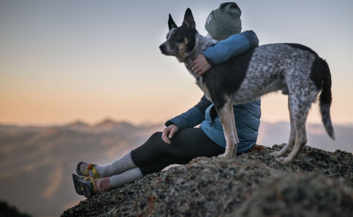The constant company of your dog makes you live longer