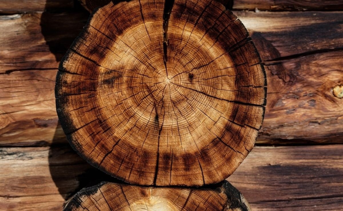Why We Say 'Knock On Wood' To Away Bad Luck