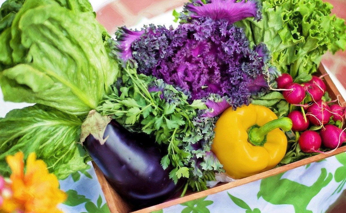 Green Leafy Vegetables: Are They Really Beneficial?