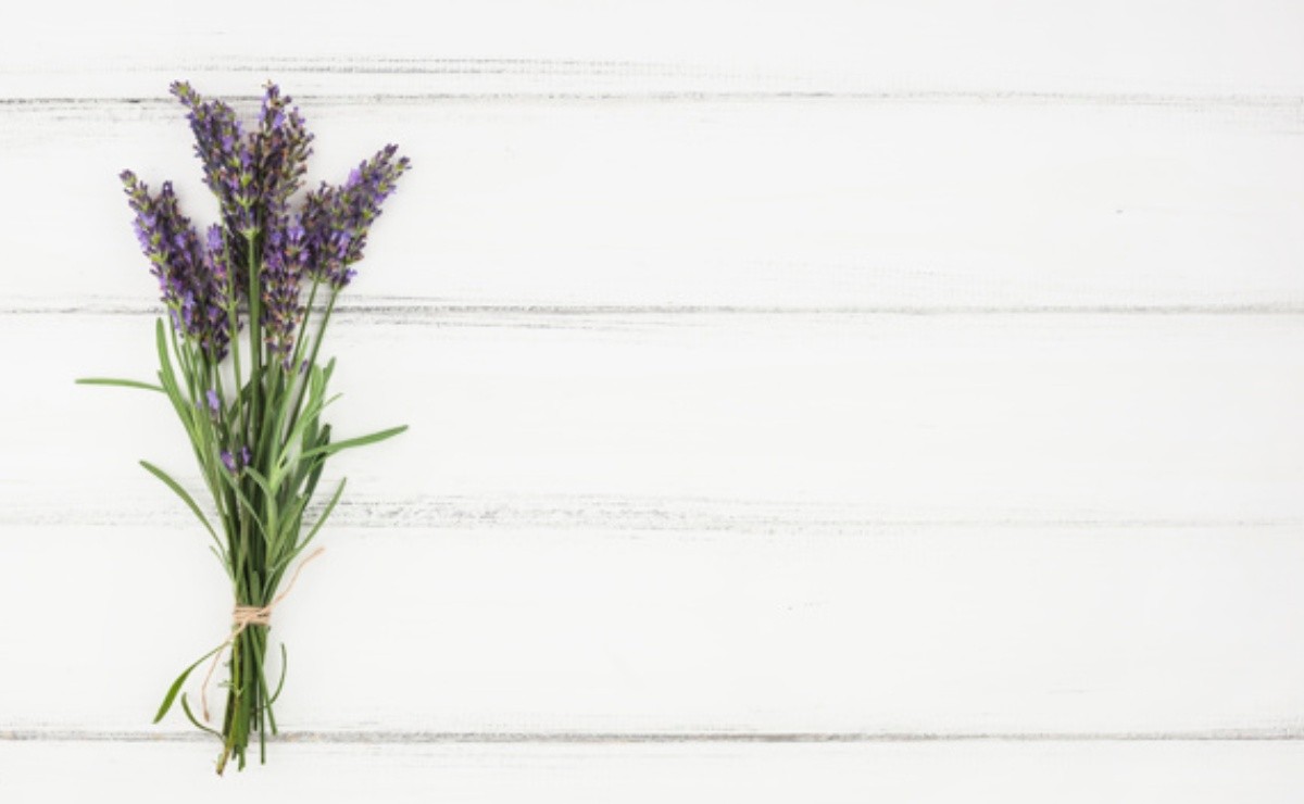 Say Goodbye To Insomnia With Lavender