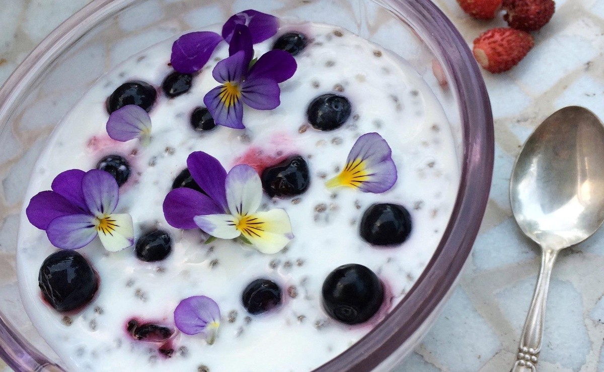 Chia With Yogurt Fasting For A Flat Stomach