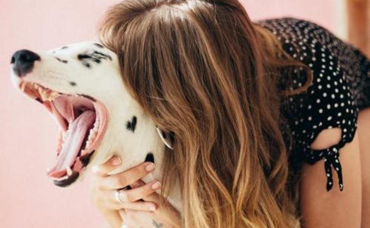 Do you talk to your dog? You're not crazy, he understands you