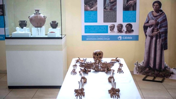 They discover remains of a woman who lived more than 600 years ago. Photo: AFP