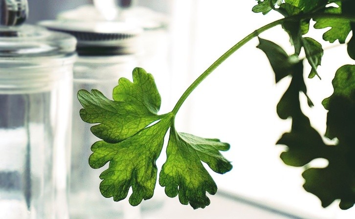 Parsley soap to remove spots and wrinkles on your face. Photo: Pexels