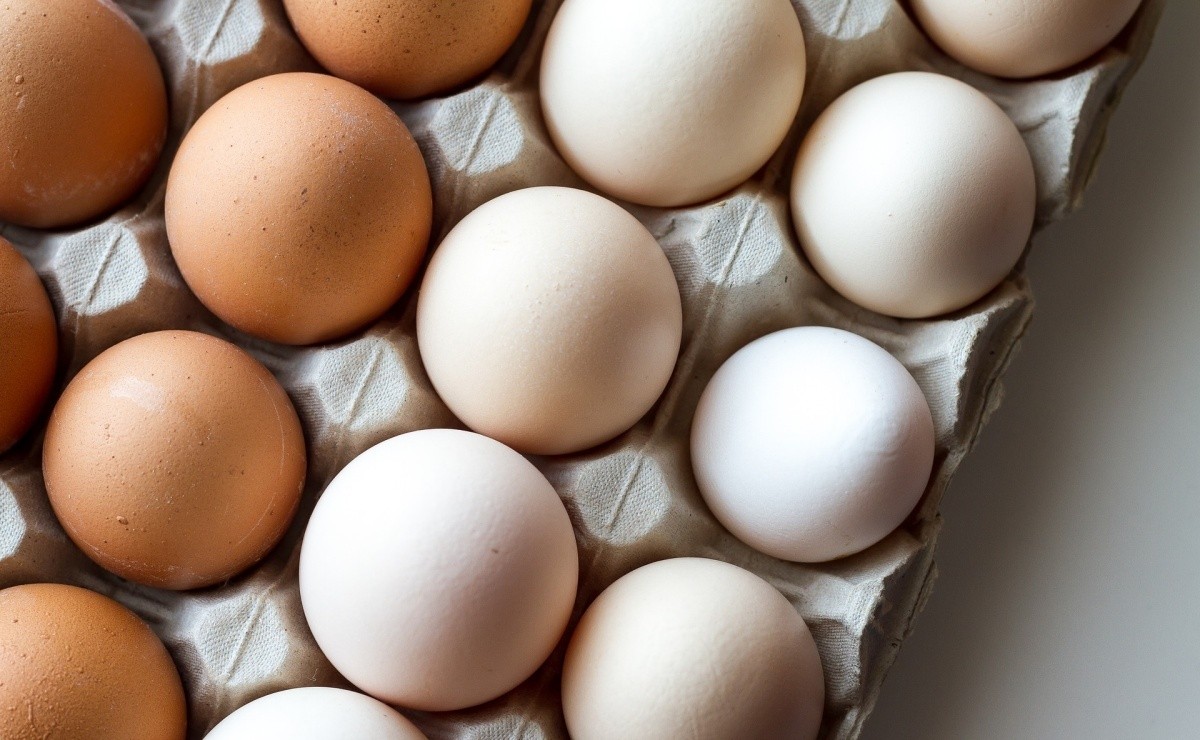 Everything you need to know about eggs and their consumption