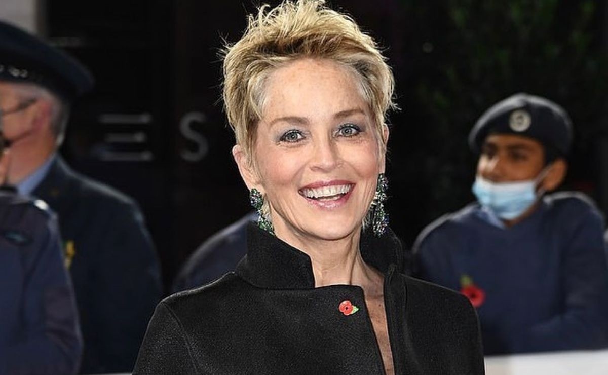 Sharon Stone's heartbreaking confession, she suffered 9 miscarriages