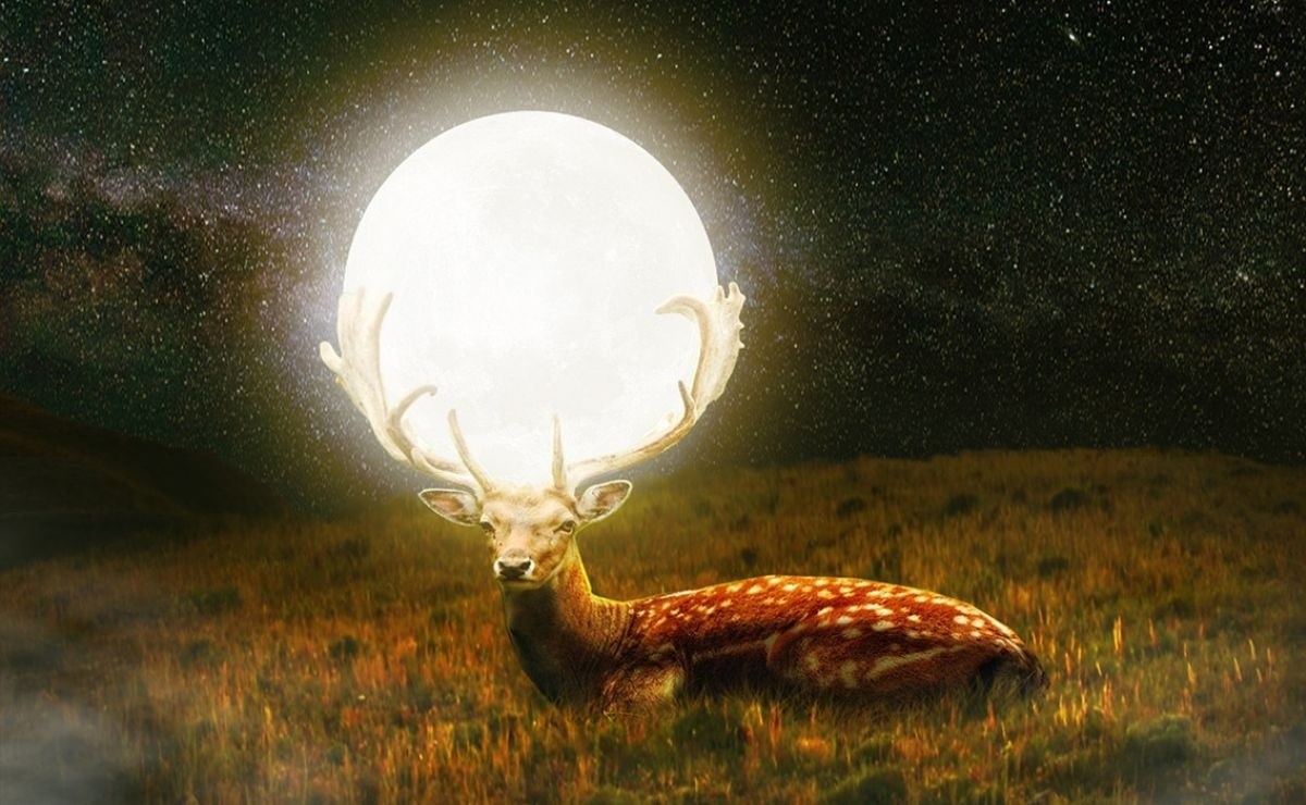 Full Moon of Deer: Your inner strength must be reborn and shine, when is it